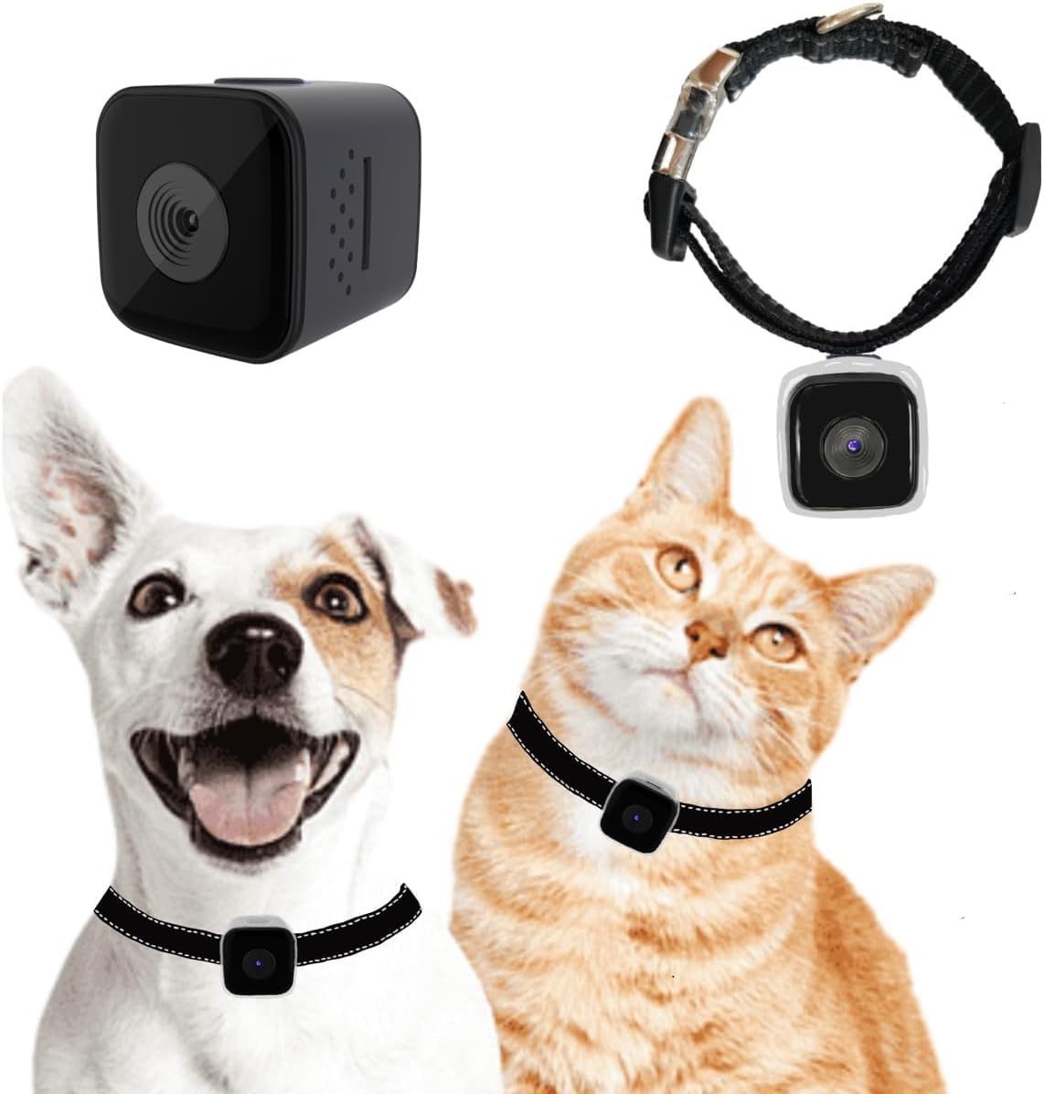 Capture Your Pet's Adventures Anywhere with KinetCam