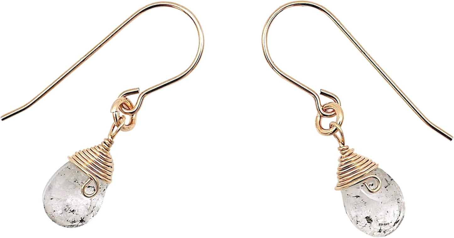 Women's Birthstone Crystal Drop Earrings with Gold Filled Design
