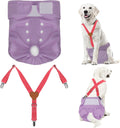 Reusable Dog Diapers Female Pack with Suspender - Secure Fit