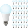 LED Light Bulbs Daylight 5000K A19 100W Equivalent - Bright