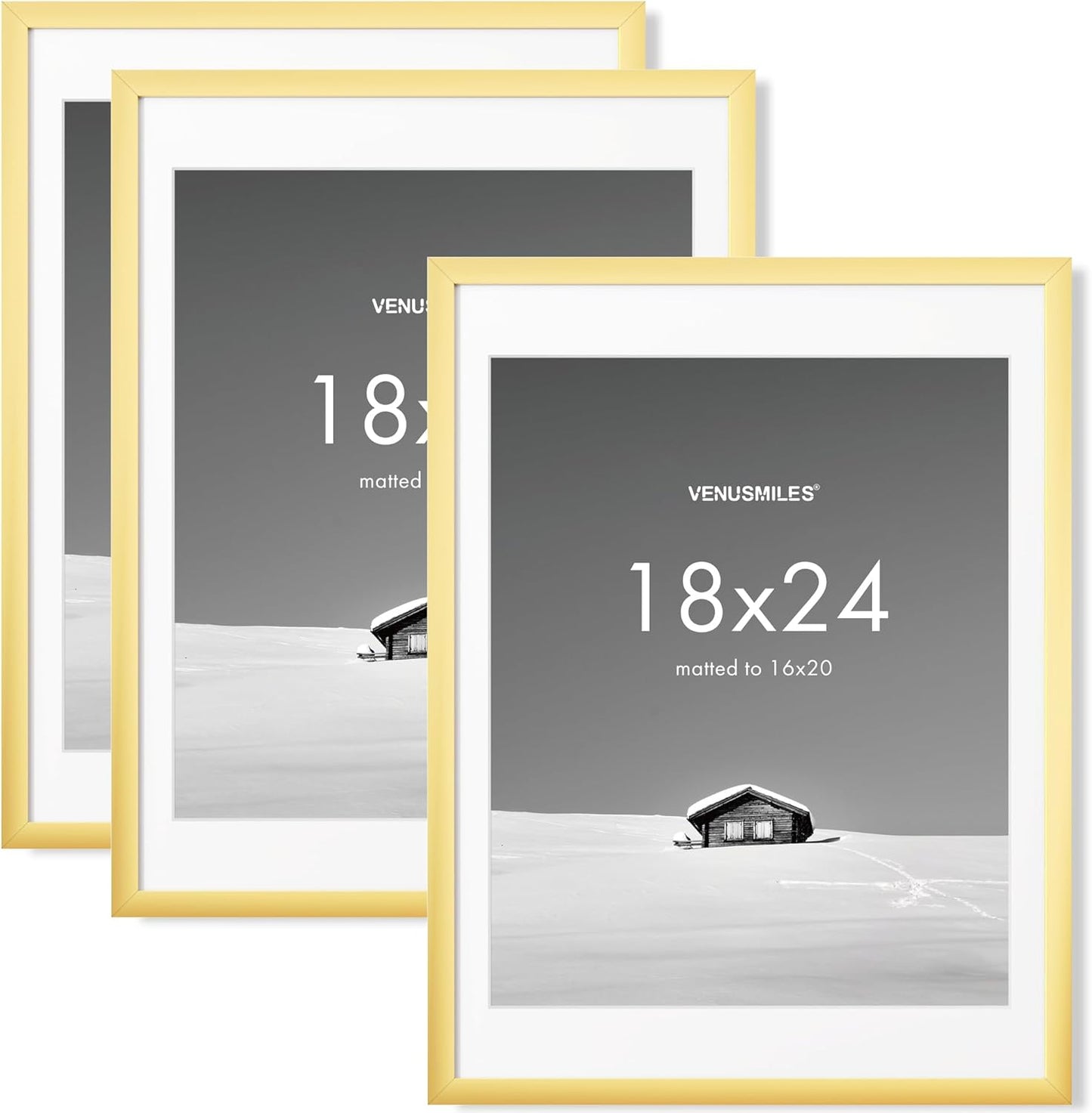 18x24 Picture Frame Set with Removable Mat for Stunning Displays