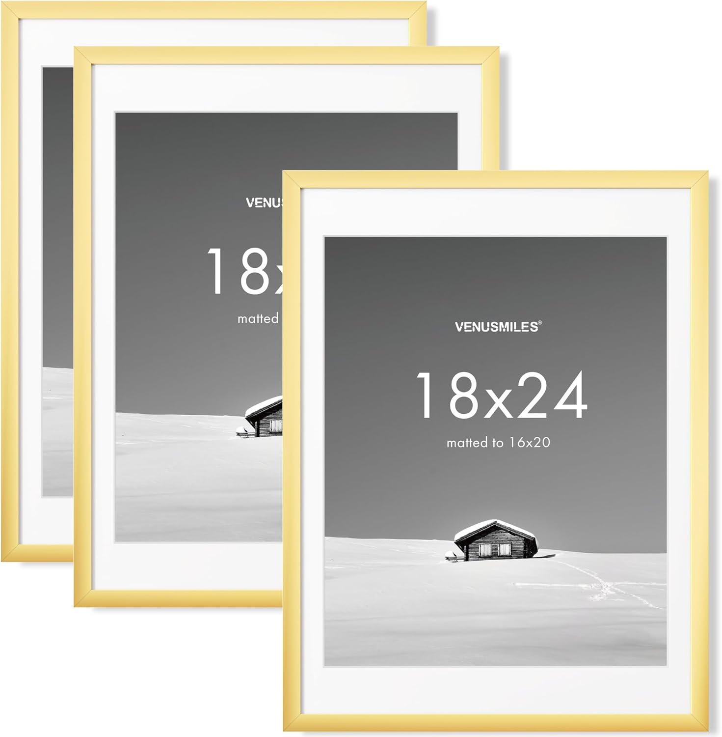 18x24 Picture Frame Set with Removable Mat for Stunning Displays