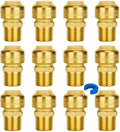 SUNGATOR 1/2 in Male Adapter Push-to-Connect - Fast Leak-Free Install