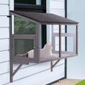 beeNbkks Cat Window Catio - Safe Bug Proof Outdoor Perch