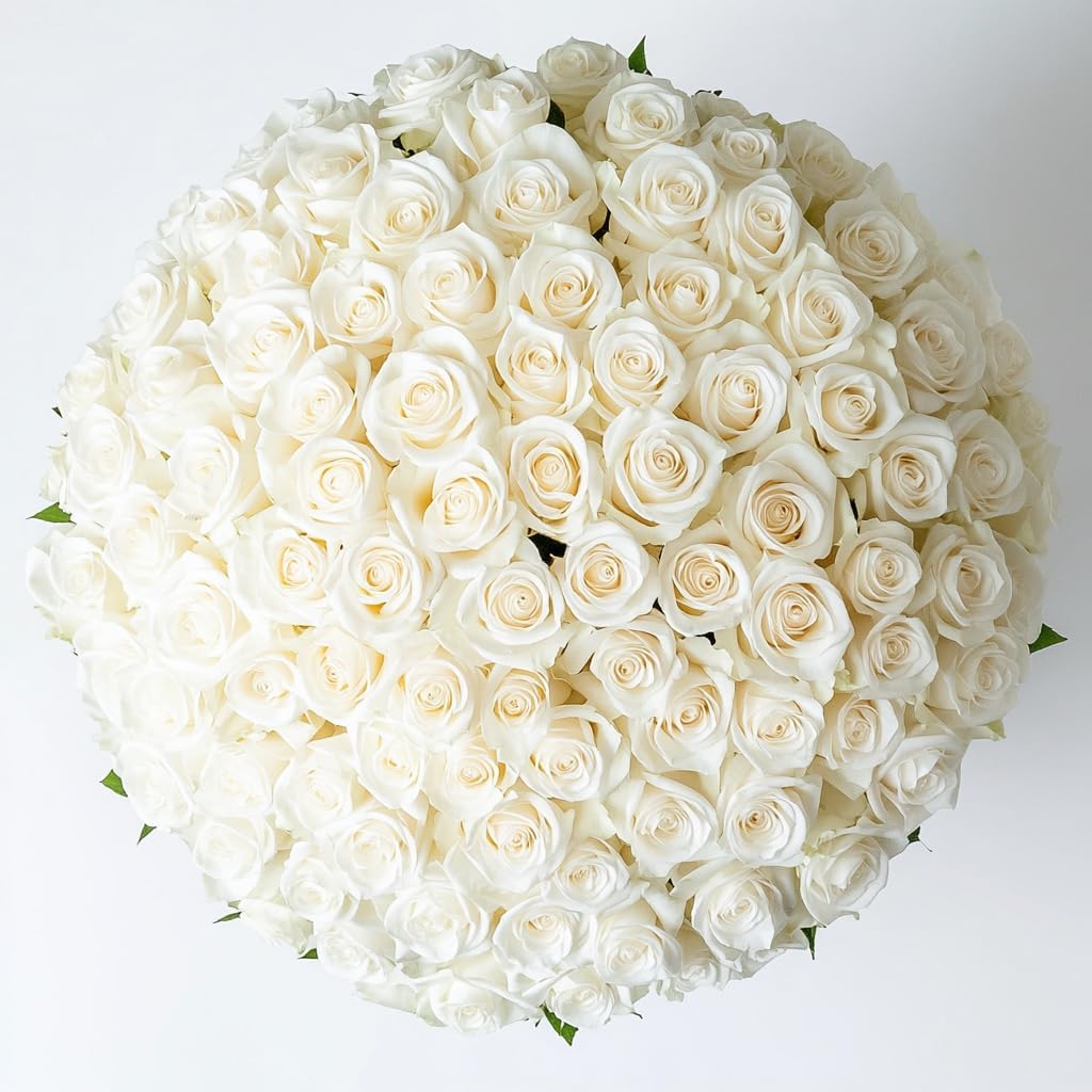 150 White Roses Bouquet for Graduation, Anniversary & More