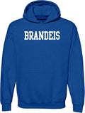 University Collegiate Hoodie - Unisex Heavy Blend Cotton/Poly (S-3XL)