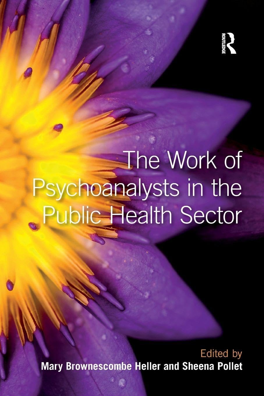 The Work of Psychoanalysts in the Public Health Sector Explained