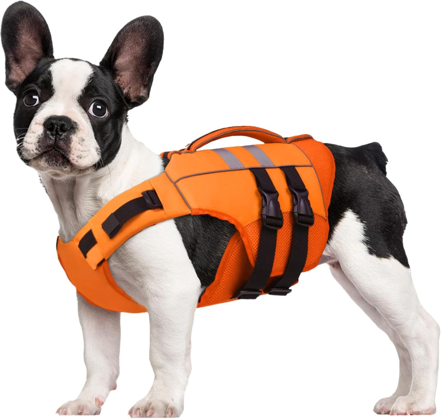 Kuoser Medium Dog Life Jacket for Safe Swimming and Boating