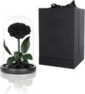 Preserved Roses Black Roses in Glass Dome, Medium - Timeless Gift