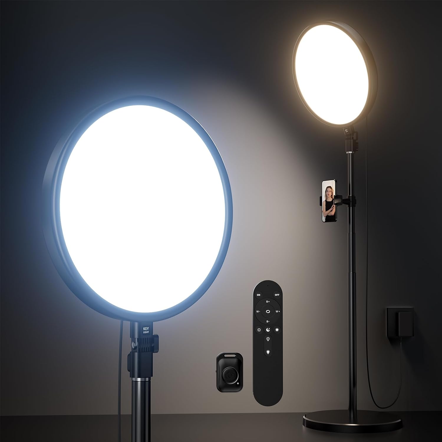 Weilisi Large Ring Light with 79in Stand for Professional Use
