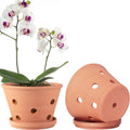 8 inch Terracotta Orchid Pots with Holes and Saucers - Breathable Clay