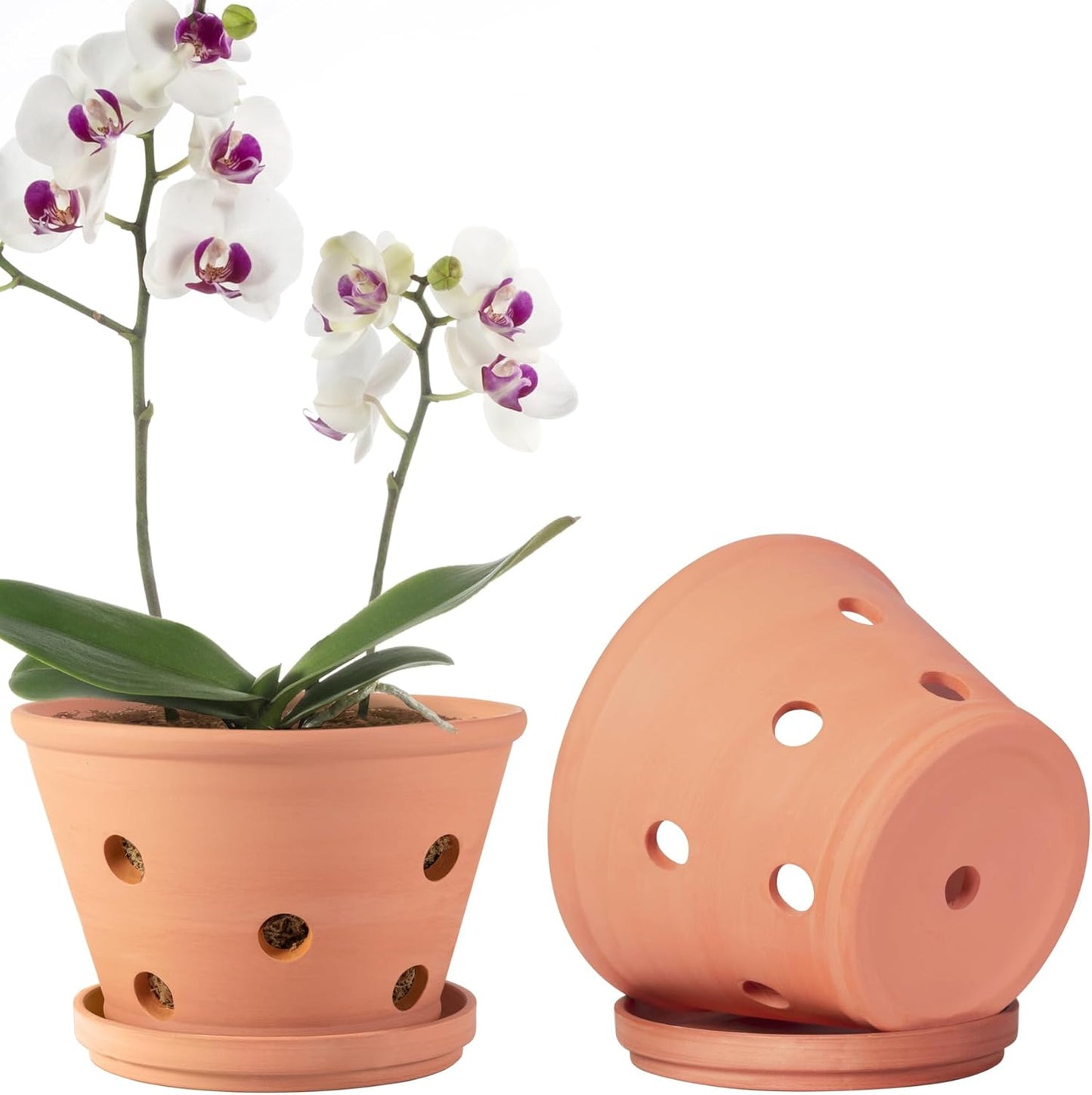 8 Inch Terracotta Orchid Pots with Holes for Indoor Outdoor Use