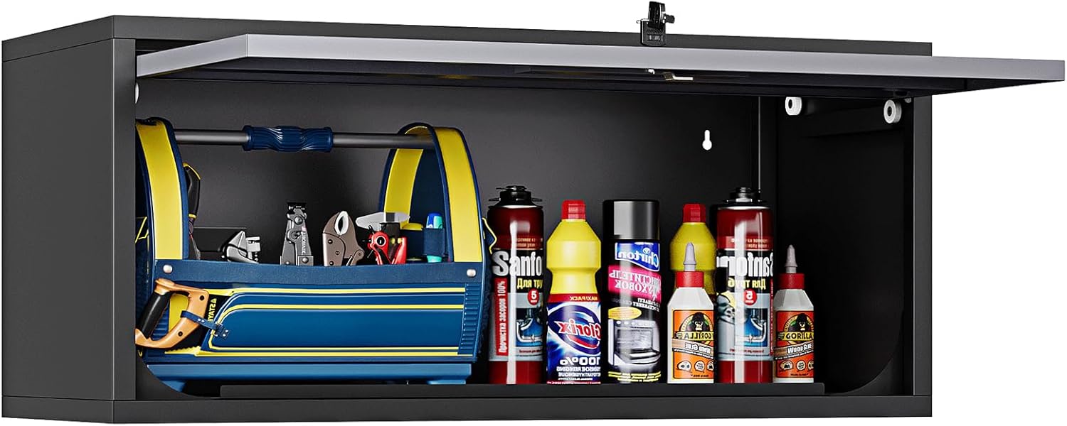 Wall Mounted Steel Metal Garage Storage Cabinet for Tools