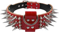 2 in Wide Luxury Sharp Spiked Dog Collar for Medium & Large Dogs