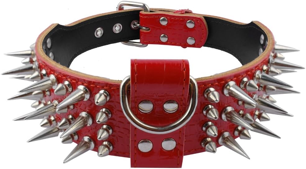 Luxury Sharp Spiked Dog Collar for Medium & Large Dogs