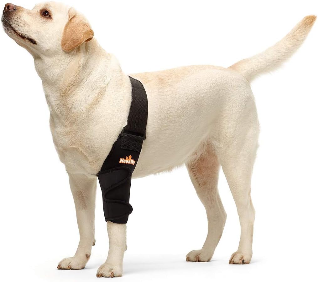NeoAlly Dog Elbow Brace for Joint Support and Mobility
