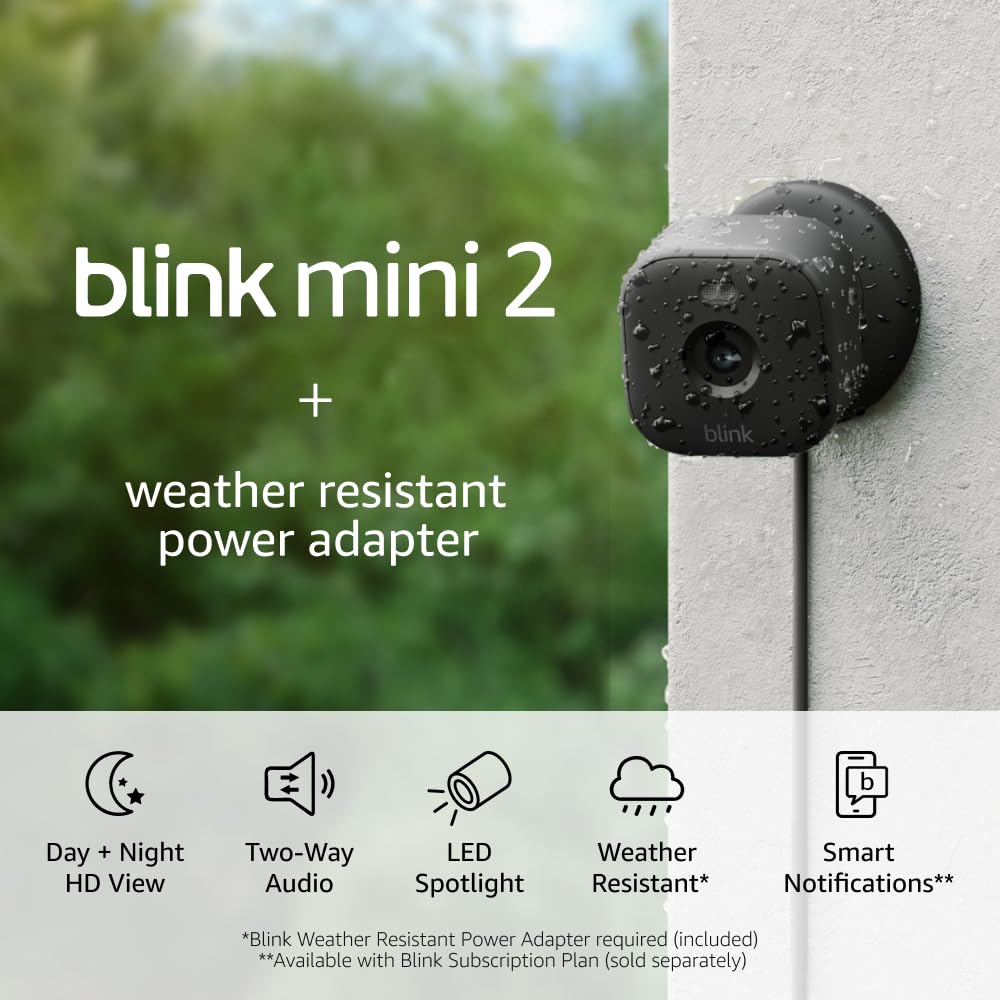 Blink Mini 2 + Weather Resistant Adapter - HD Indoor/Outdoor Security Cam