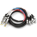 Seismic Audio SAXT-8x10F 8-Channel 10 ft TRS to XLR Snake - Studio