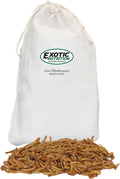 Exotic Nutrition Medium Live Mealworms (1/2) 4,000 Pack - High Protein