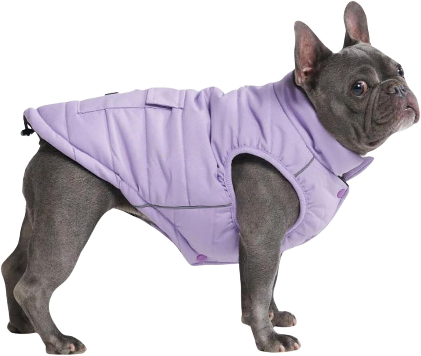 Spark Paws Dog Winter Jacket - Warm Reflective Coat for Dogs