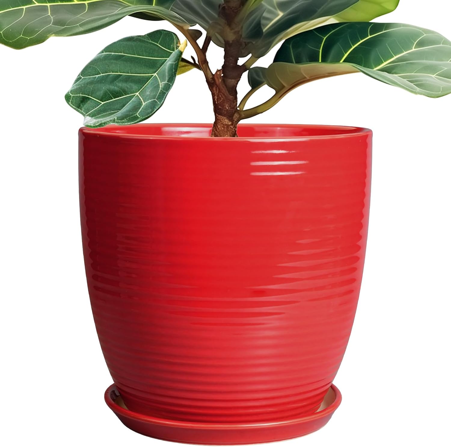 Ceramic Pot for Plants 12 Inch - Stylish Indoor Planter