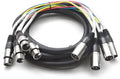 4 Channel XLR Snake Cable - 15 ft Pro Audio Patch Seismic