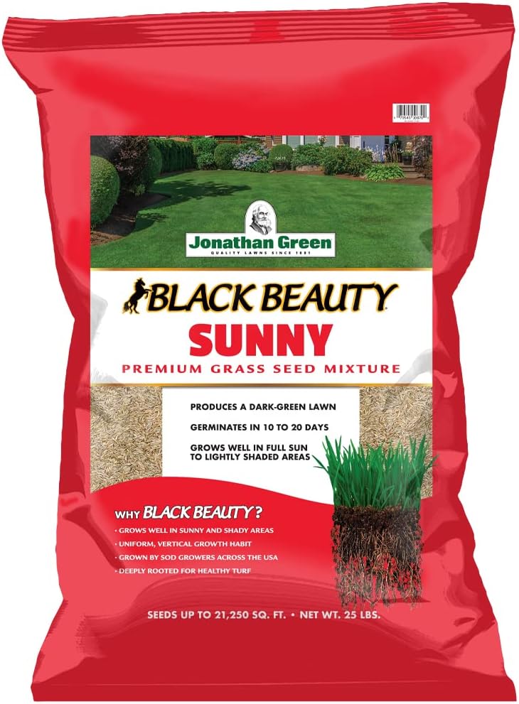 Black Beauty Sunny Grass Seed for a Lush Green Lawn