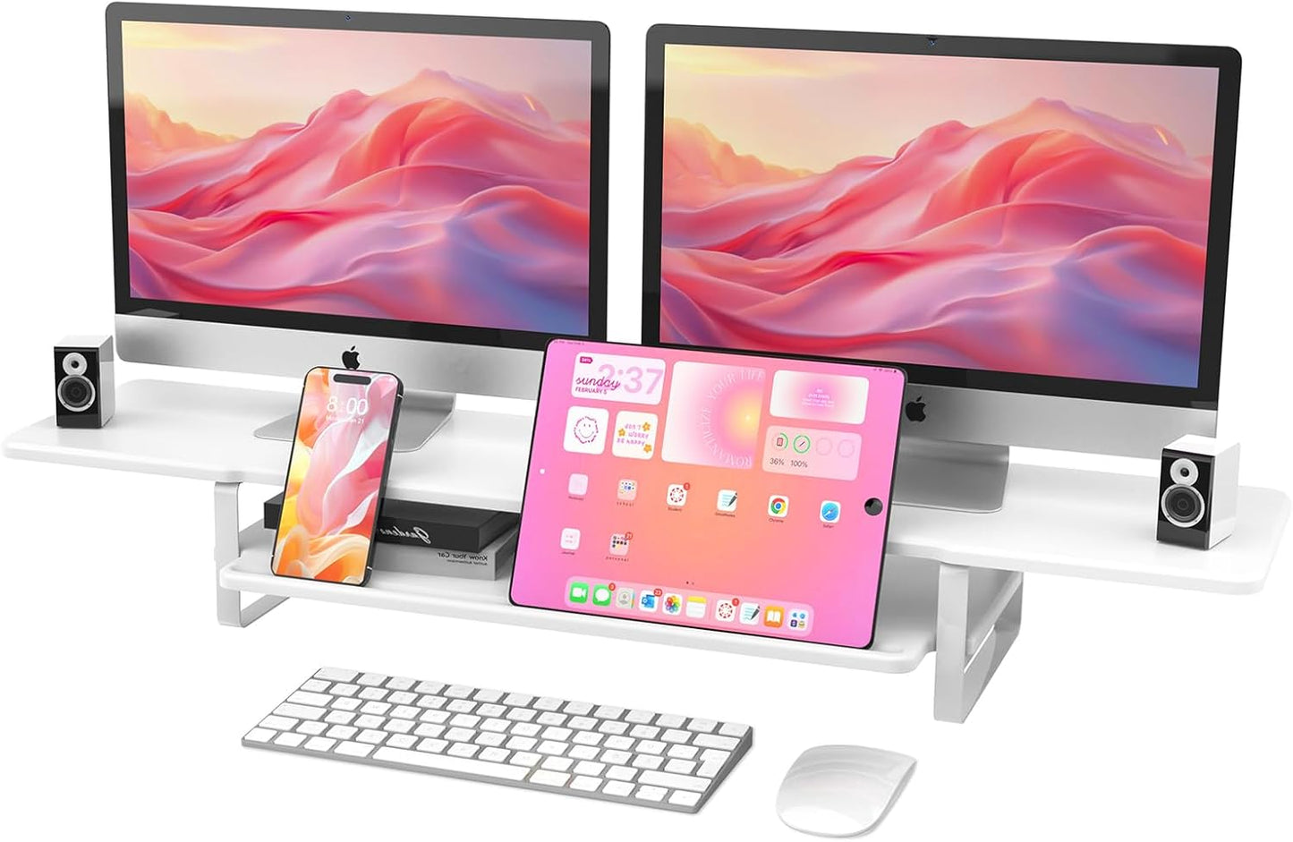 Dual Monitor Stand with Storage Organizer and Cable Management