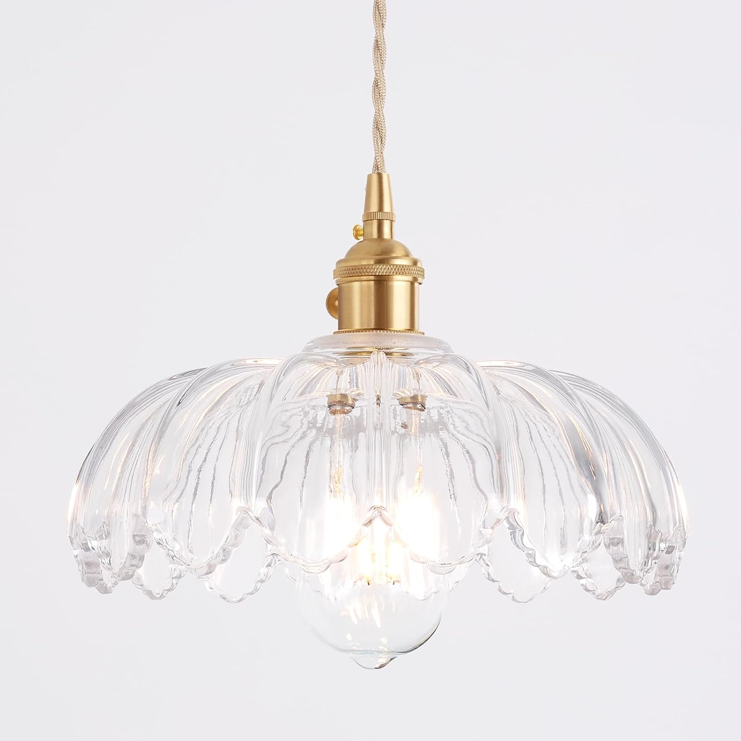 Elegant Adjustable Pendant Light with Clear Glass Shade for Home