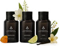 AromaPlan Destinations Hotel Collection Scents - Luxury Trio