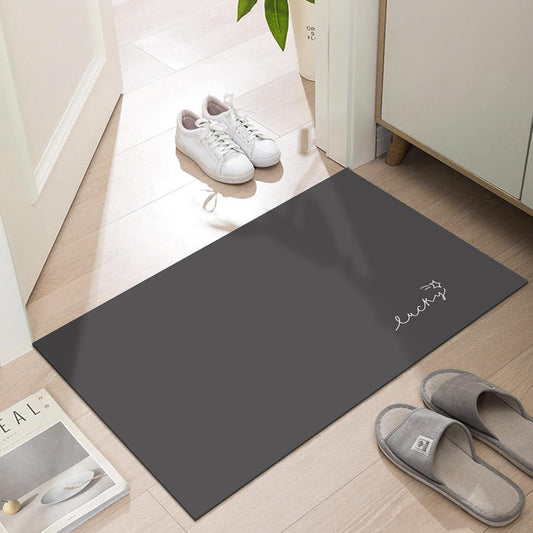 Ultra Thin Door Mat Indoor Entrance for Easy Cleaning and Safety