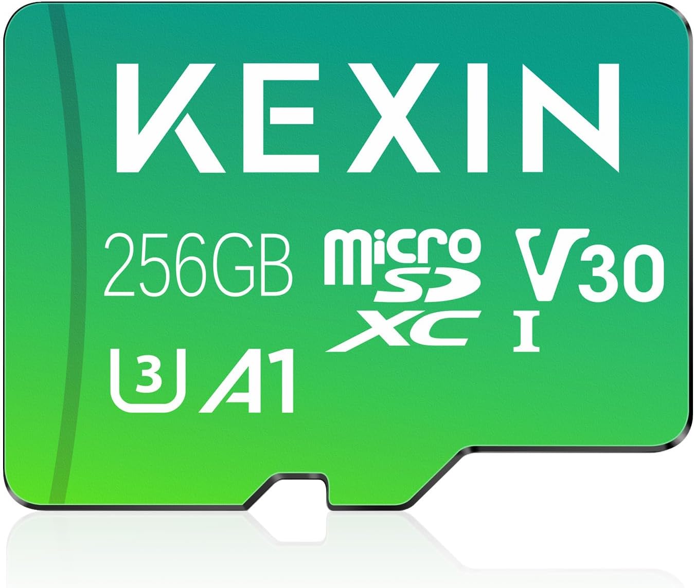 256GB High-Speed Micro SD Card for 4K Action!