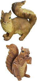 Woodland Squirrel Statues Scamper & Chomper - Realistic Garden Pair