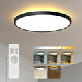 Roomratv Flush Mount Light Fixture with Remote Control - Adjustable