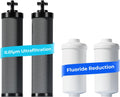 Waterdrop Black and Fluoride Water Filter Replacement - Upgraded