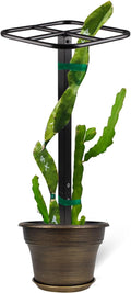 Premium Dragon Fruit Trellis - Durable Metal Support for Vertical