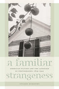 A Familiar Strangeness: American Fiction and the Language