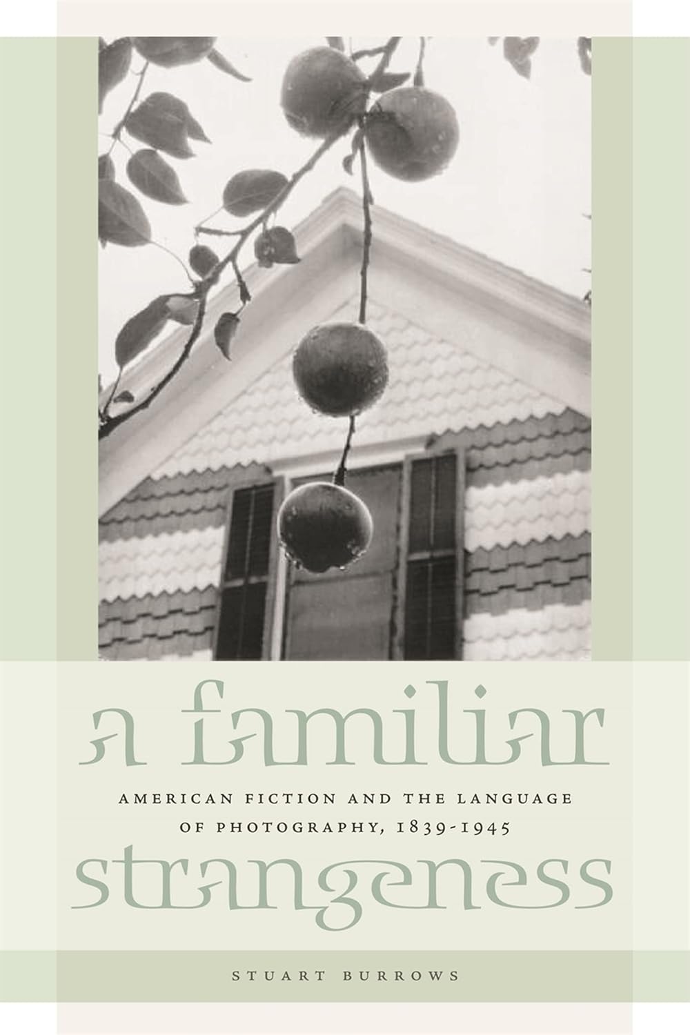 A Familiar Strangeness: American Fiction and Photography Language