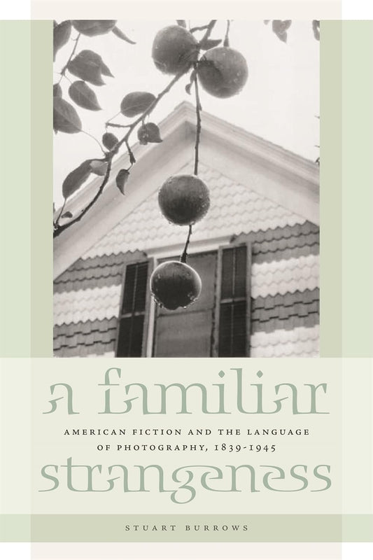 A Familiar Strangeness: American Fiction and Photography Language