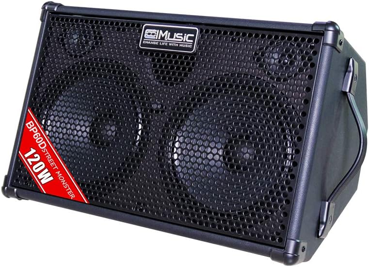 Portable 120W Acoustic Amp with Reverb & Chorus
