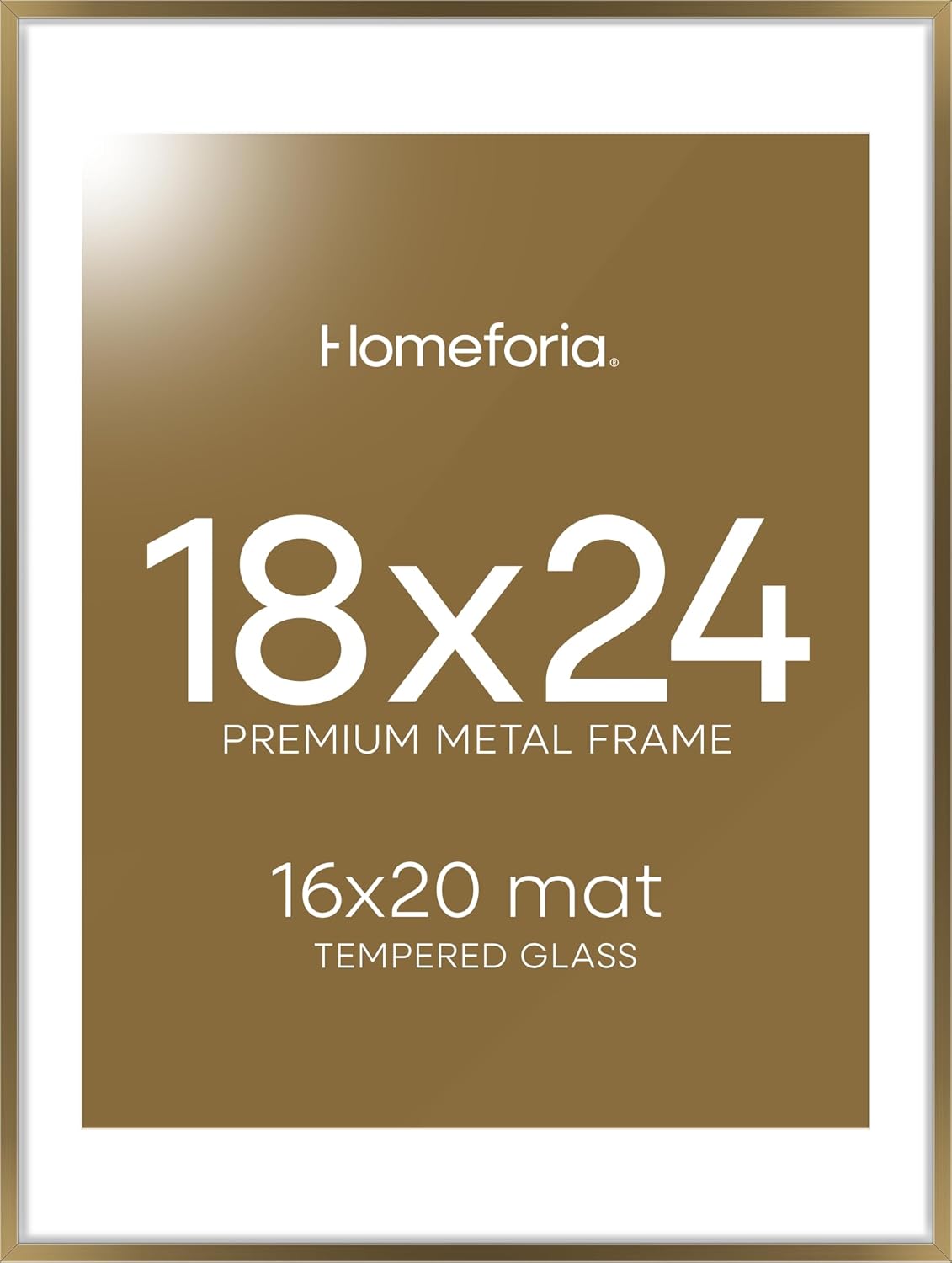 Homeforia 18x24 Bronze Frame with Mat for Stunning Displays