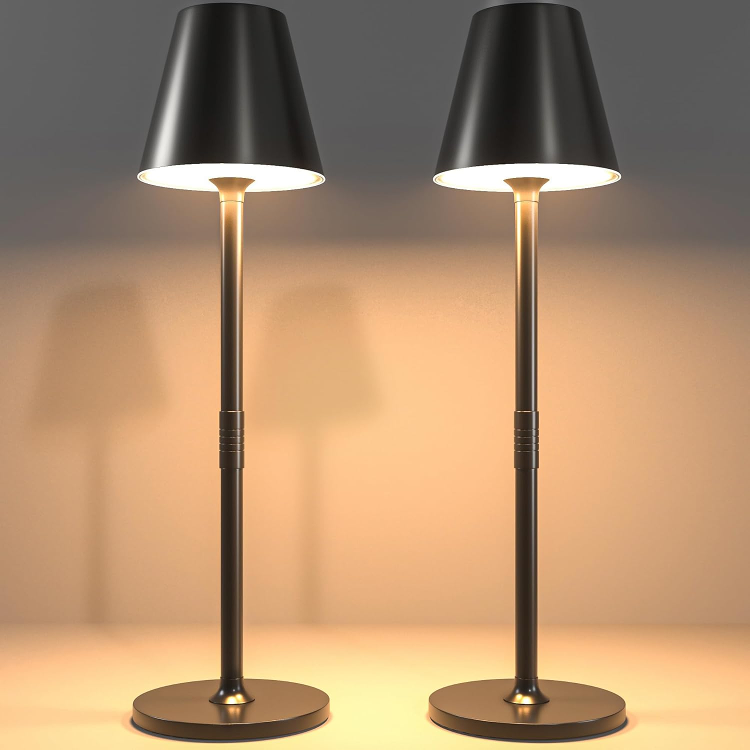 Dimmable Cordless Table Lamps x2 ~ Brighten Any Setting