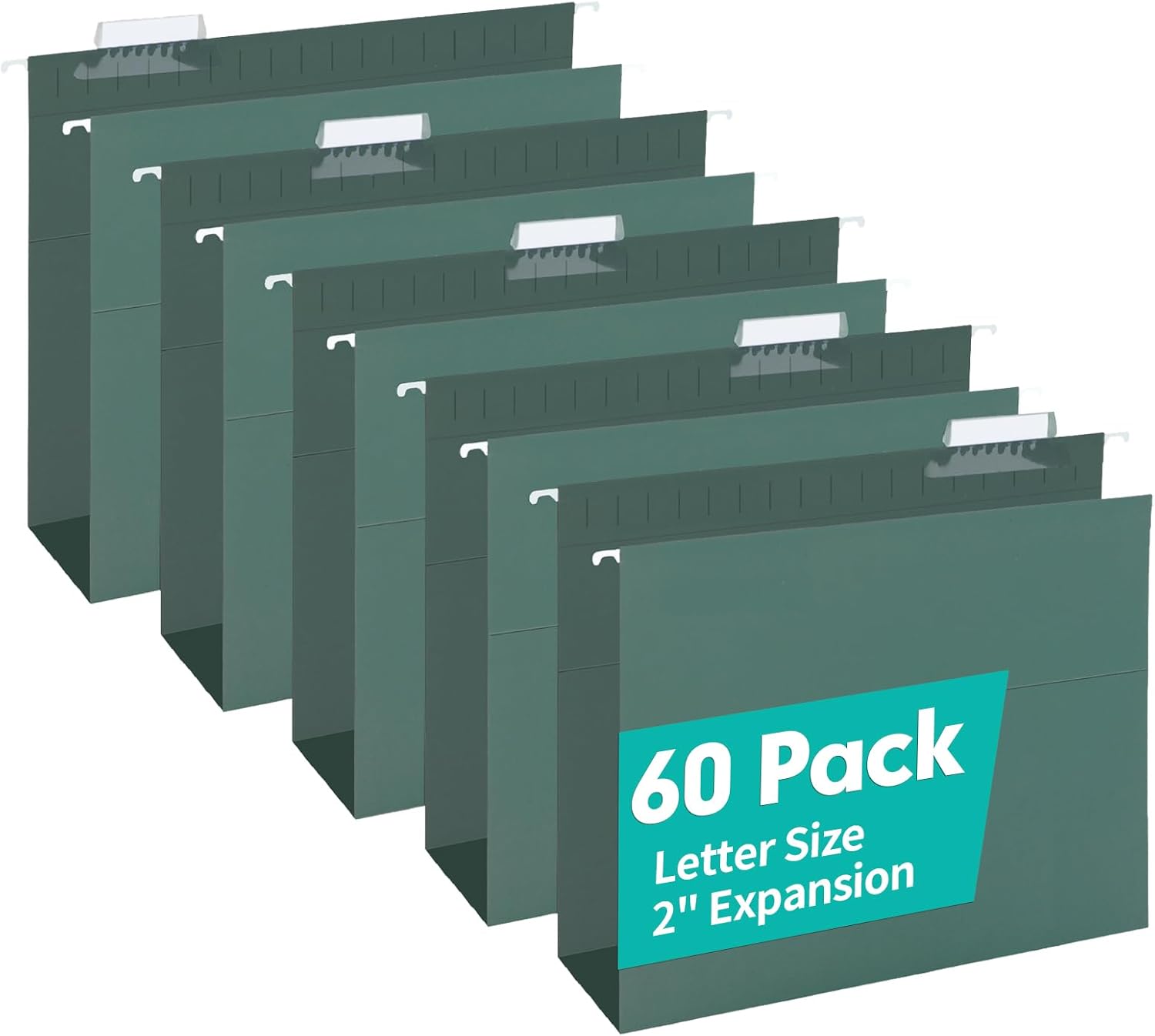 Extra Capacity Hanging File Folders for Organized Documents