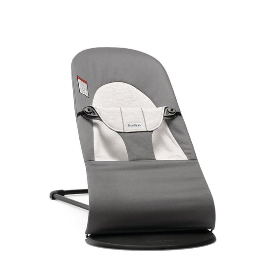 BabyBjrn 2-in-1 Bouncer Chair | 4 Position Adjustable