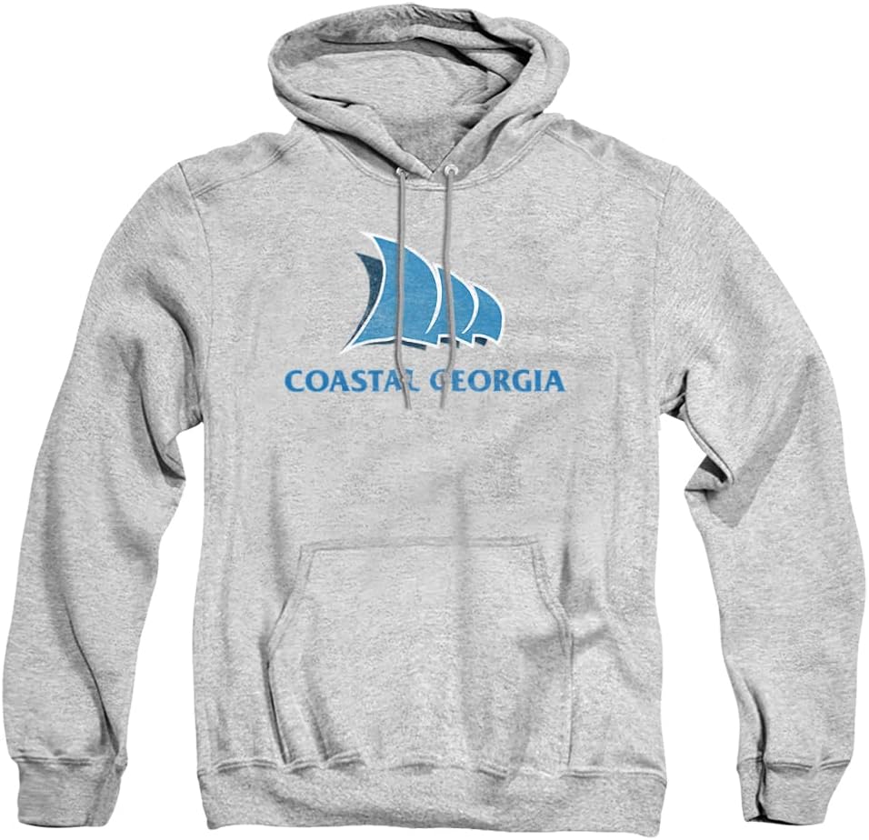 Official Collegiate Distressed Primary Logo Adult Hoodie Collection