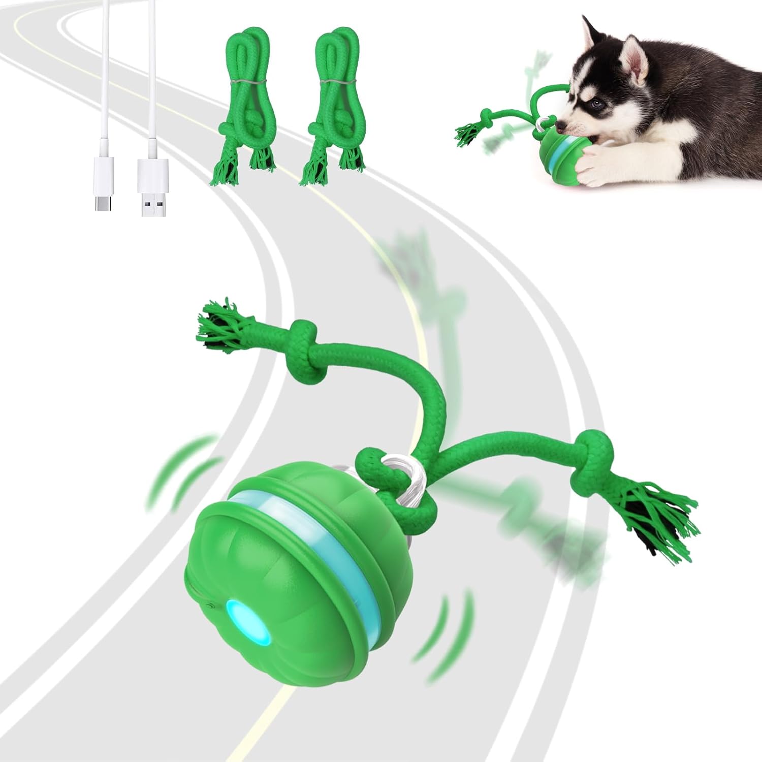 Wicked Ball: Interactive Rolling Toy for Small Dogs