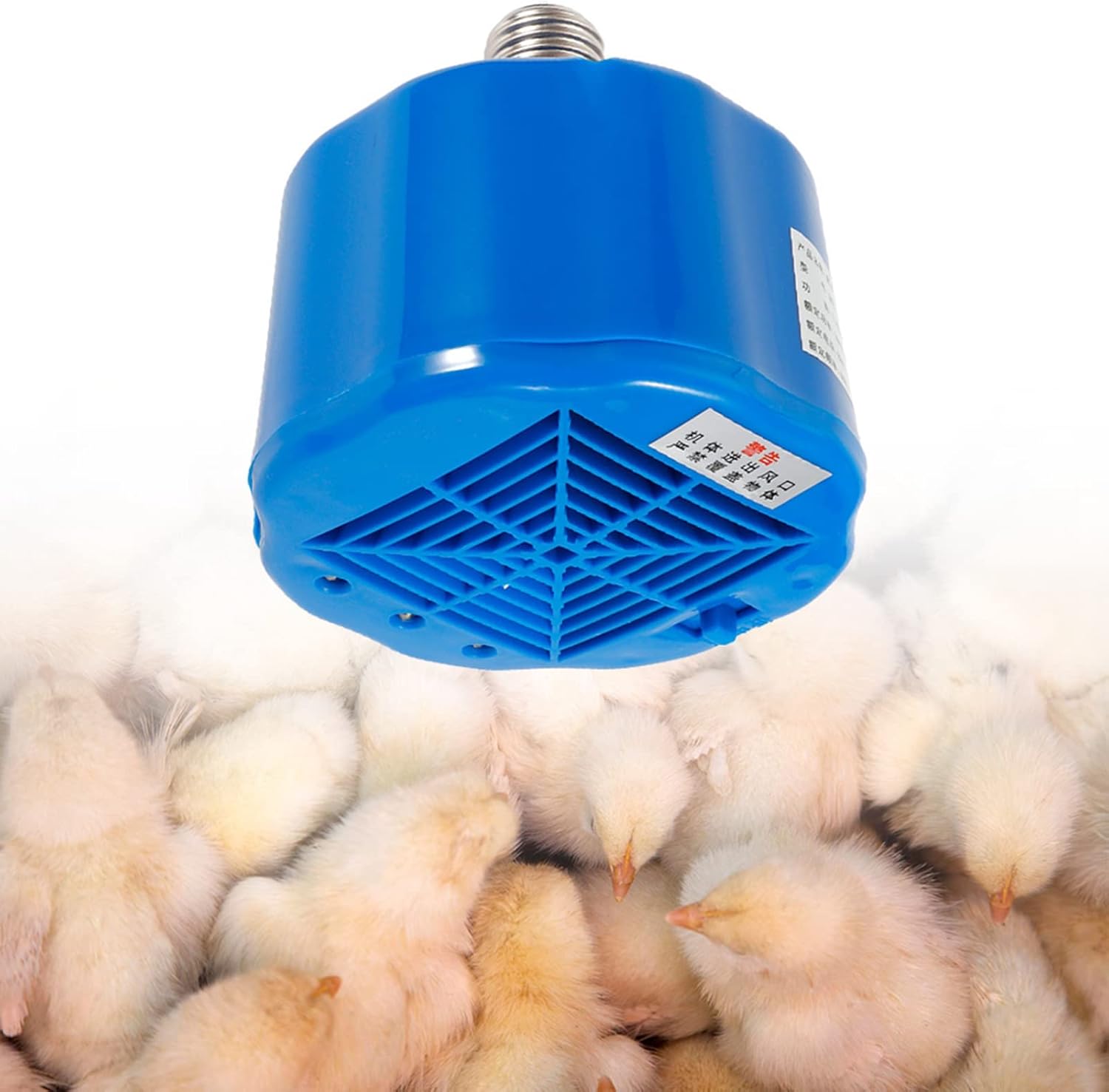 Solar Chicken Coop Heater: Safe & Efficient Heat