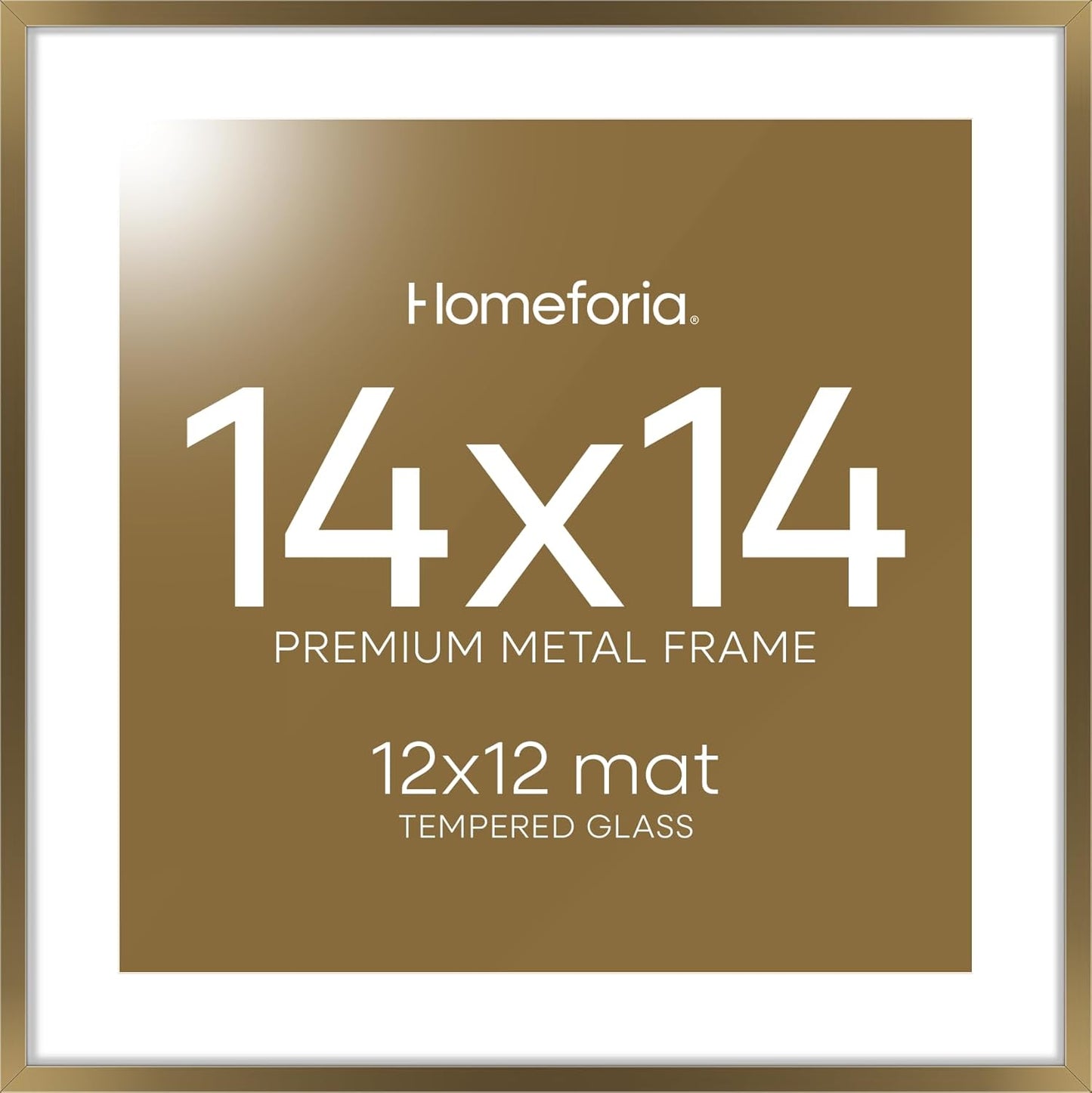 Homeforia 14x14 Picture Bronze Frame - High End Metal Design