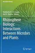 Rhizosphere Biology: Interactions Between Microbes and Plants - Clear