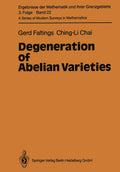 Degeneration of Abelian Varieties - In-depth Mathematical